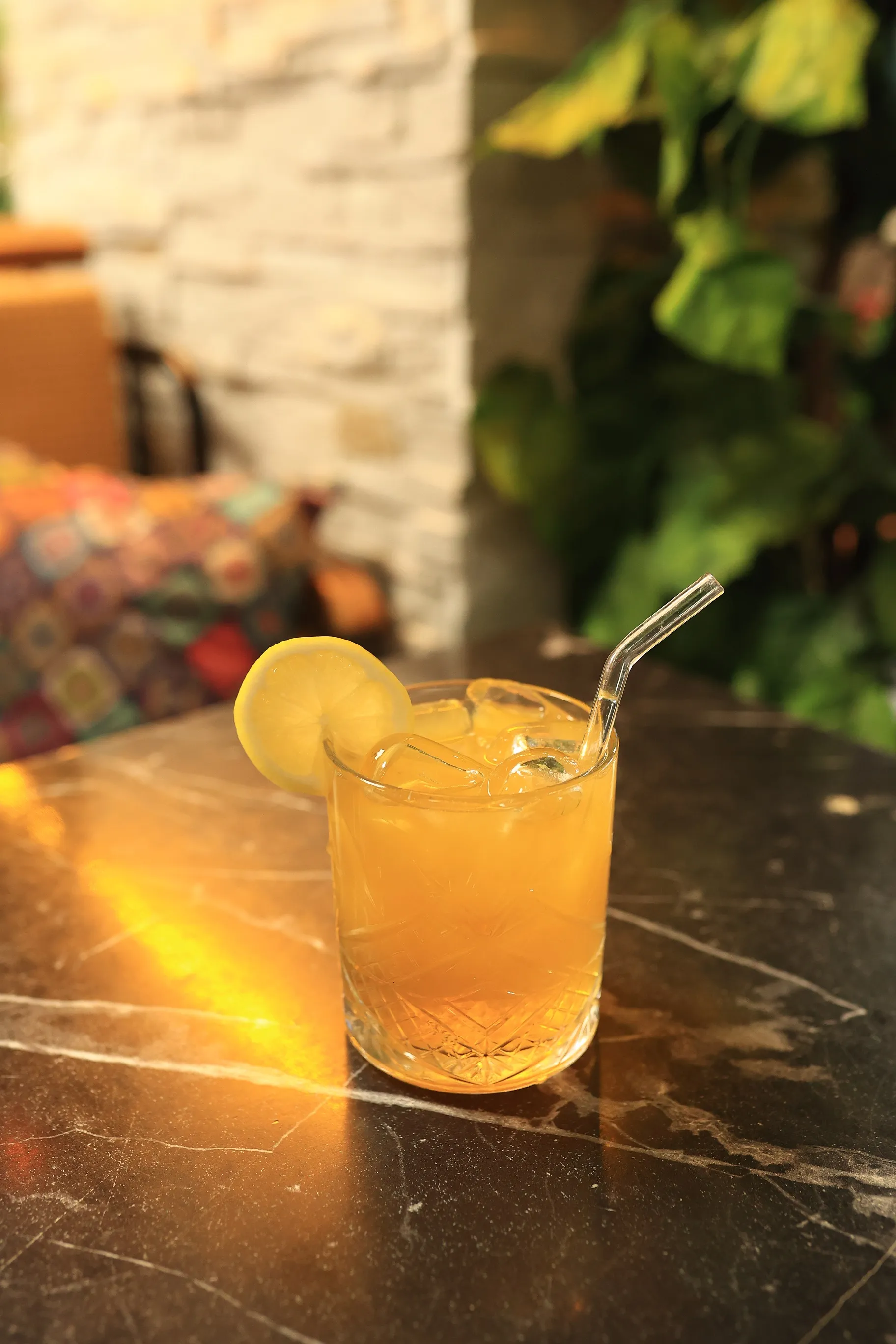 REDBULL SIKMA PORTAKAL